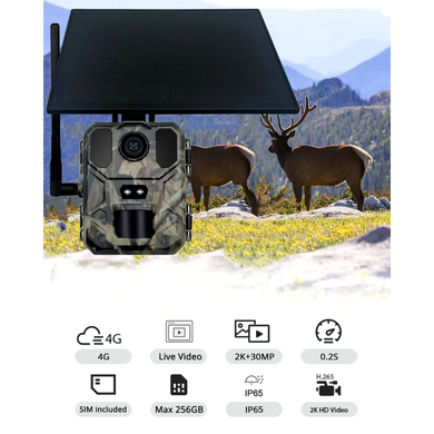 Фотоловушка Suntek MiNi900Pro (30Mp, Онлайн Відео) на сонячній батареї з 4G та хмарним сервісом